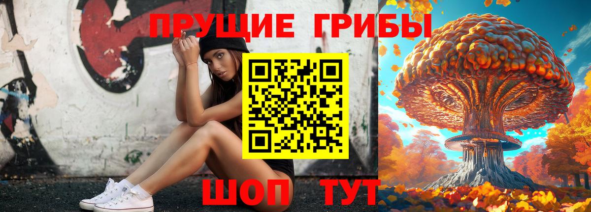 Георгиевск  наркошоп  Вход с VPN  Галлюциногенные грибы прущие грибы 
